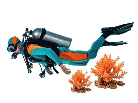 Plongée sous-marine dans les récifs coralliens