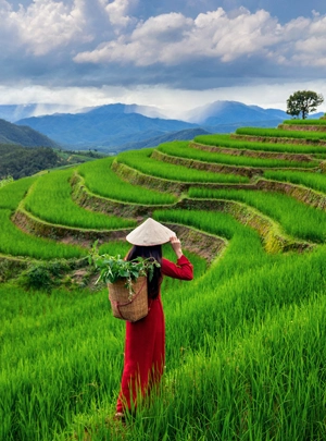 trekking Mu Cang Chai